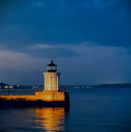 Bug Light