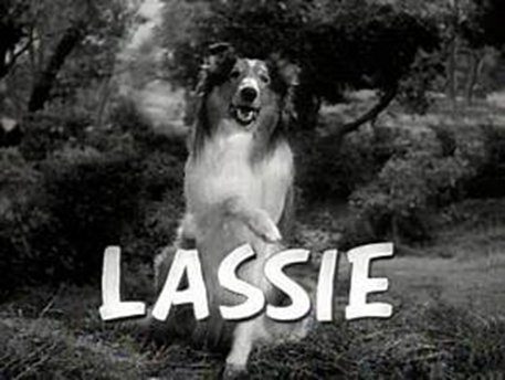Lassie Come Home