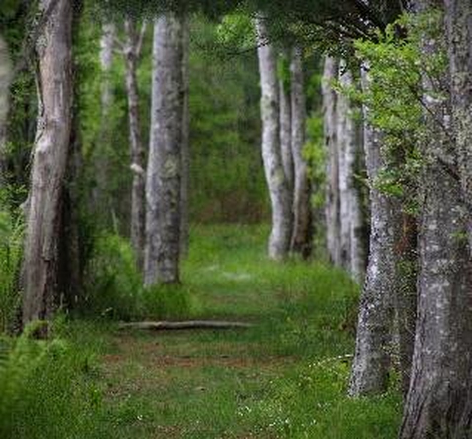Terre Sainte ou sans Terre?