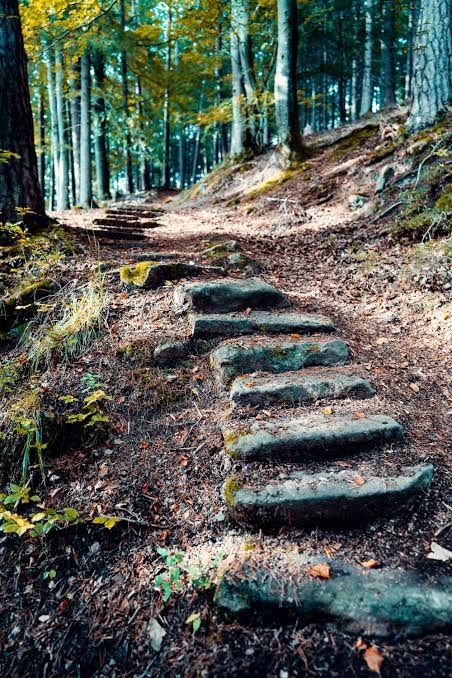 Stepping Down